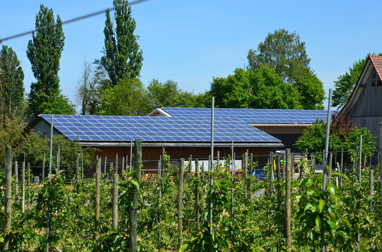 Energia prosto ze Słońca – zalety wykorzystywania kolektorów słonecznych. Ogniwa, panele fotowoltaiczne – kolektory słoneczne Szczecin